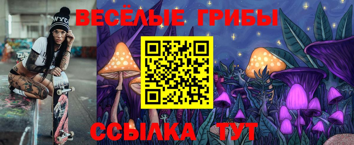 Где купить наркотики?  МАРИХУАНА  Марихуана  LSD-25  Нарткала  МЕФ кристаллы  Кокаин  Вход с VPN 