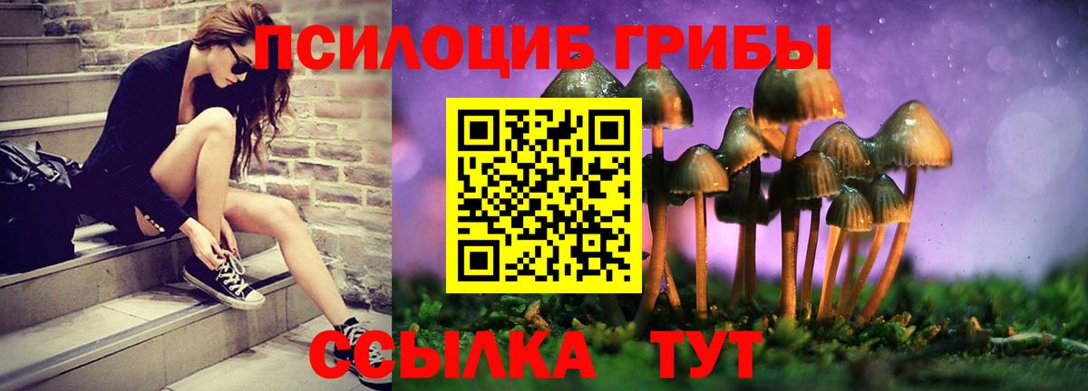 где купить наркоту  Псилоцибиновые грибы мицелий  Вход с VPN  Нарткала  Галлюциногенные грибы Psilocybine cubensis 
